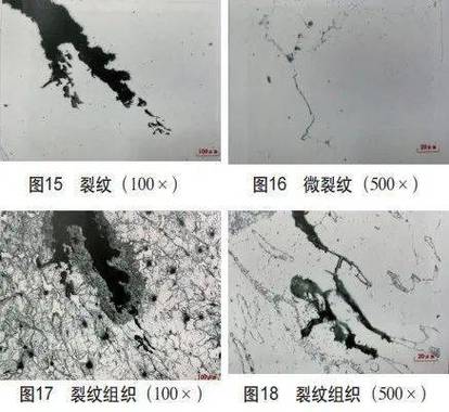 冷锻组合凹模纵向开裂失效分析图