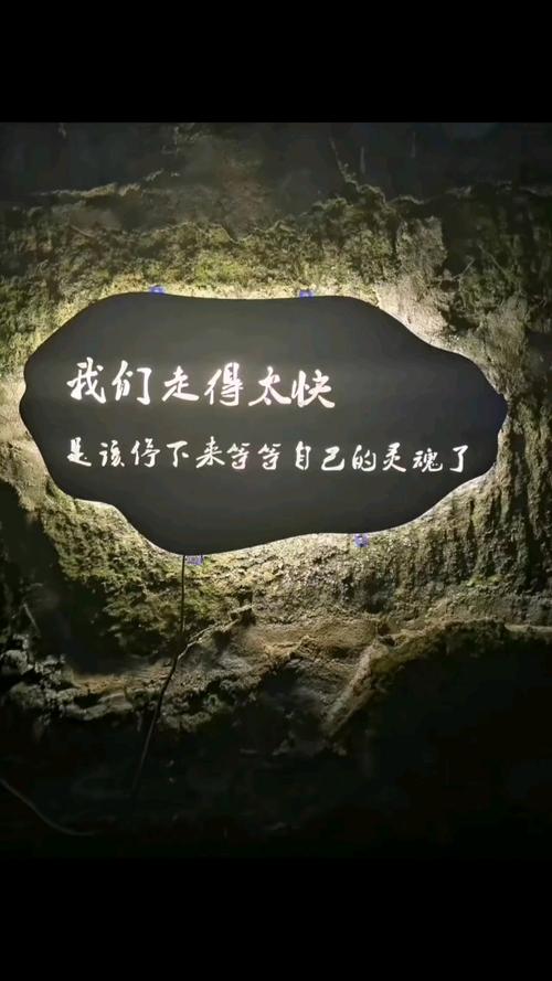 原来我们都走太快了