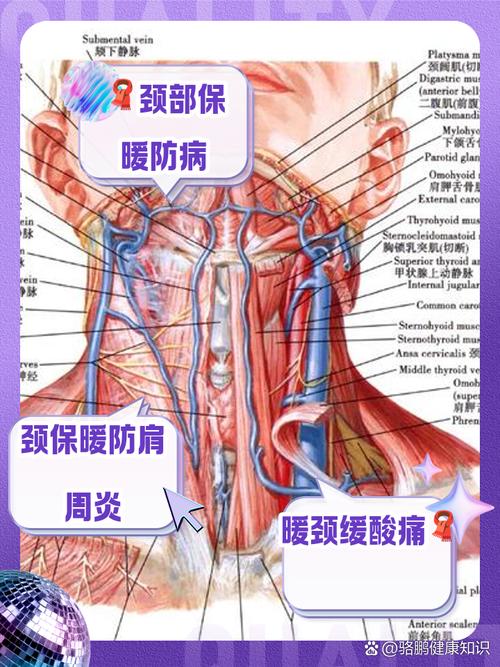 三、头部、手脚和脖子：保温的薄弱环节