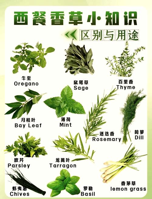 不同种类草本干料避光储存方式示意图