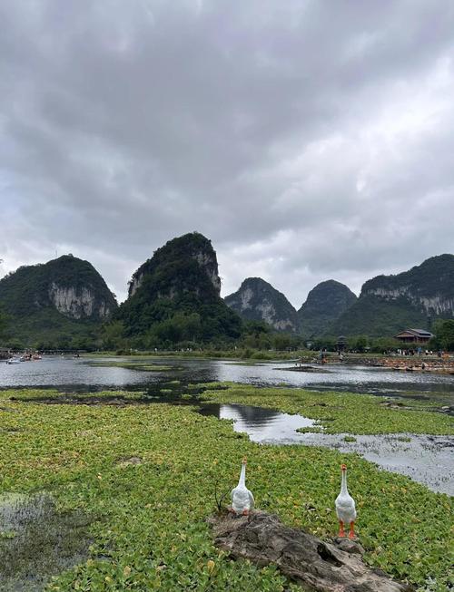 鹅泉泉眼蓝绿色