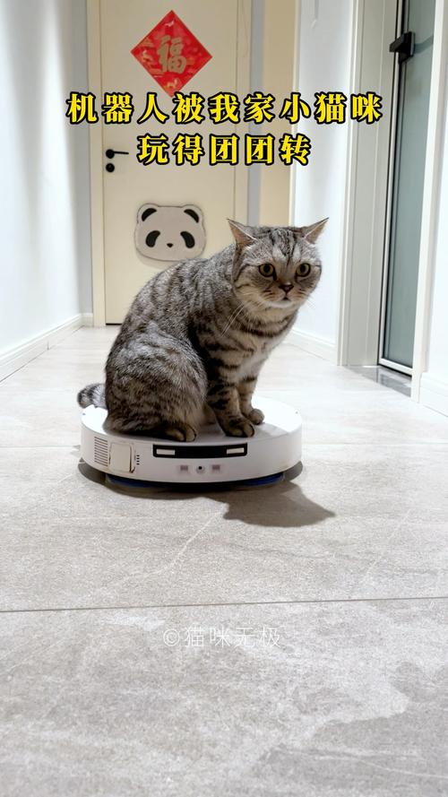 一台扫拖机器人正在猫食盆前打转，猫被吓得跳起