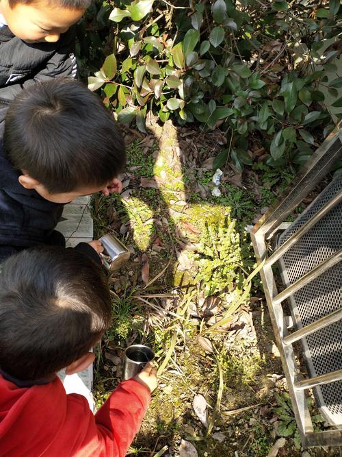 亲子自然活动孩子在旧工厂管道边观察刺猬