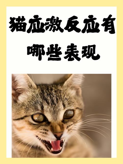 真遇到应激反应,别硬抱着哄