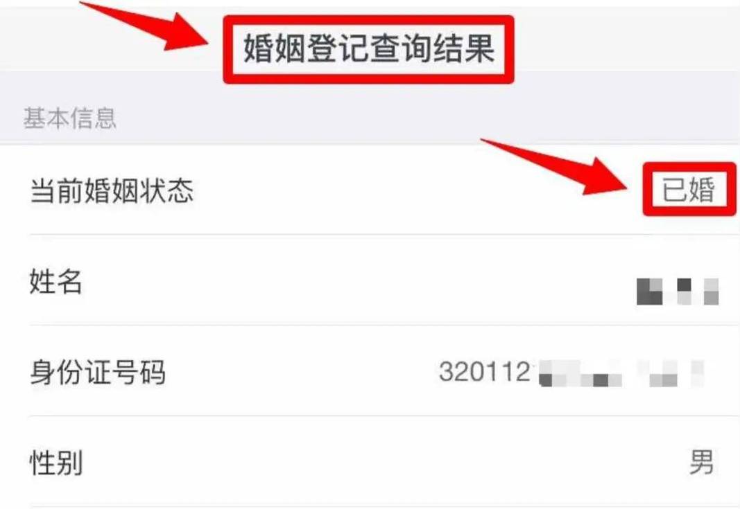 中国婚姻登记档案查询系统桌面截图