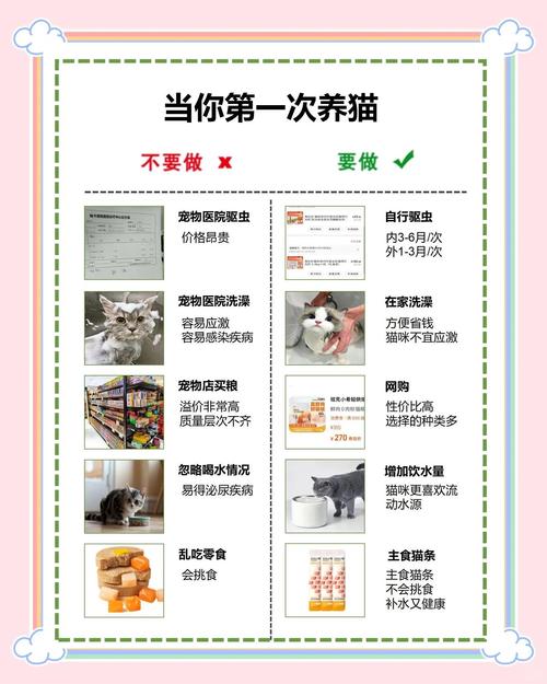 新手养猫最容易踩的三个坑