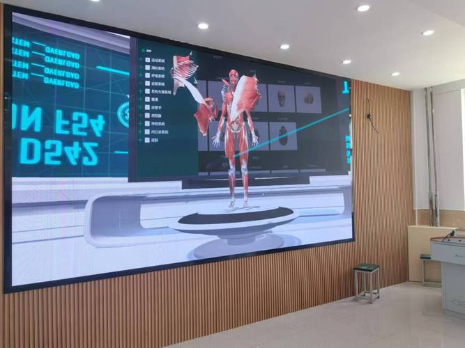 交互式电子白板在小学科学课演示3D人体模型