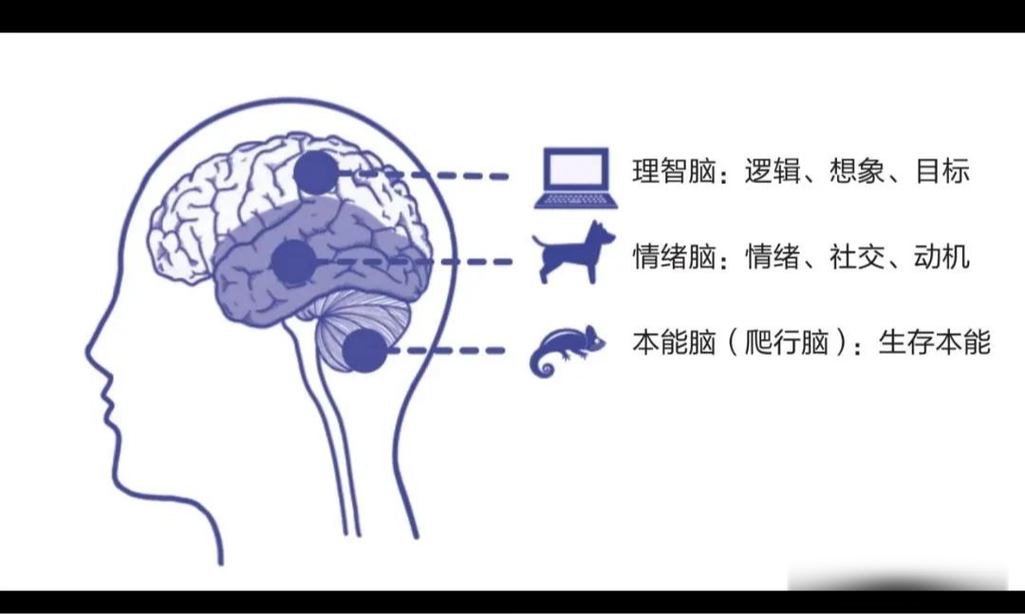 理性处理问题:脑子是个好东西,希望你也用得上-大讲堂