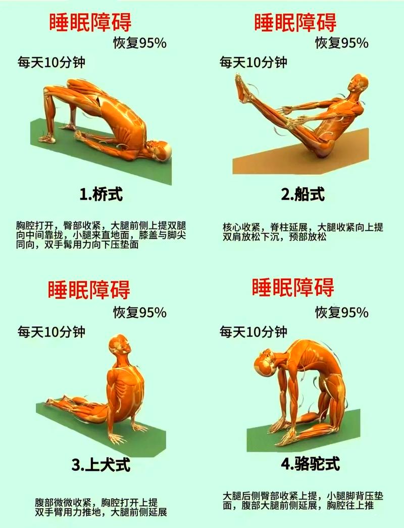健身训练恢复与睡眠示意图