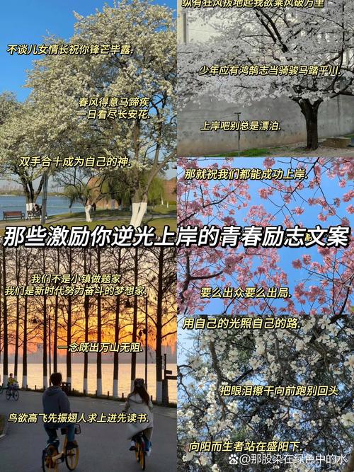 上岸先撞见的，不是灯，是臭干子的香