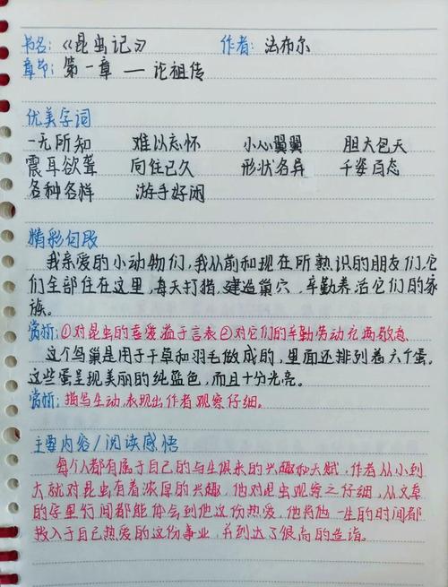 学生手写的昆虫观察笔记内页