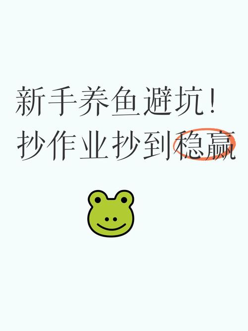 从硬抄作业到接受松弛，我踩过的那些坑