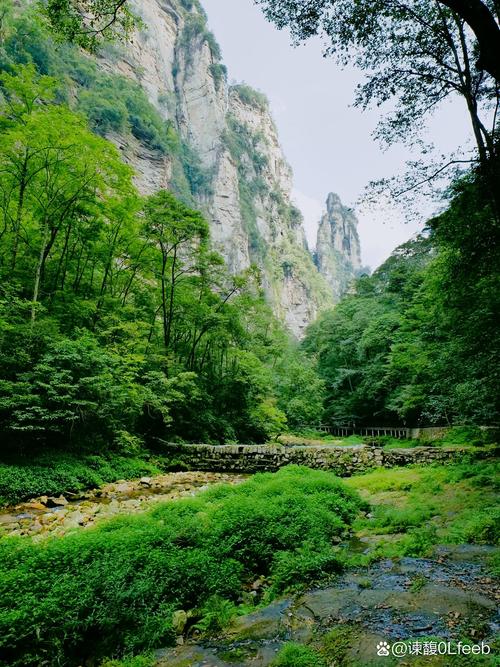 张家界金鞭溪溪边徒步步道实景