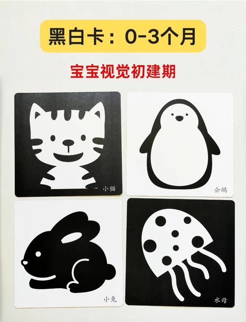 新生儿看黑白卡绘本