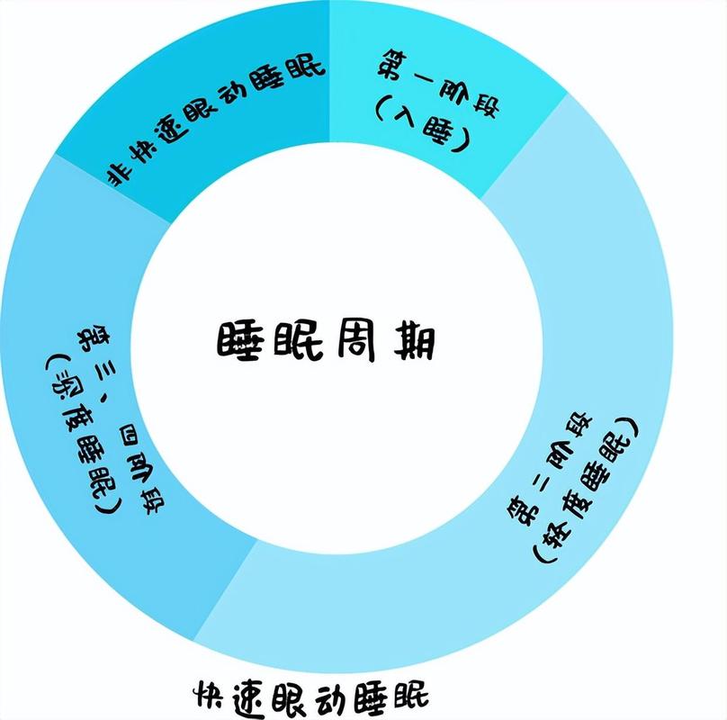 学生健康作息睡眠周期90分钟示意图