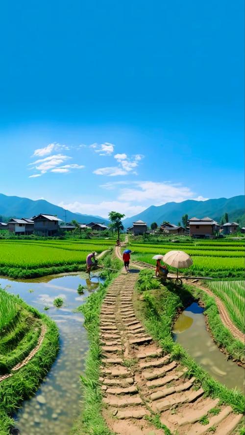南漳观音岩村春日梯田青石板路景色