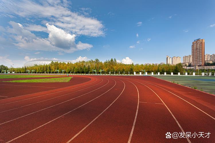 成年人办公室工间拉伸活动场景