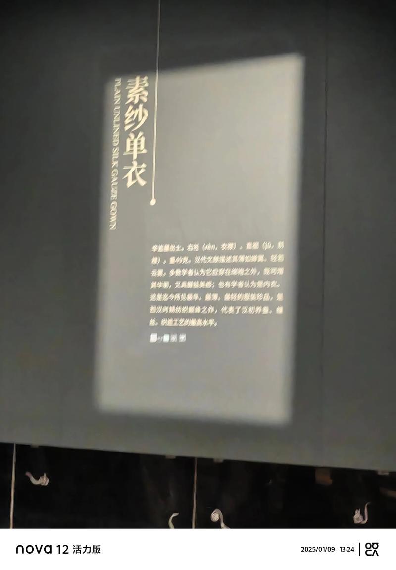 马王堆素纱单衣文物细节刺绣针脚