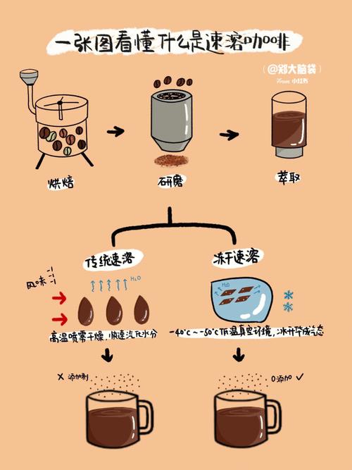 速溶咖啡喷雾干燥与冷冻干燥生产流程对比图