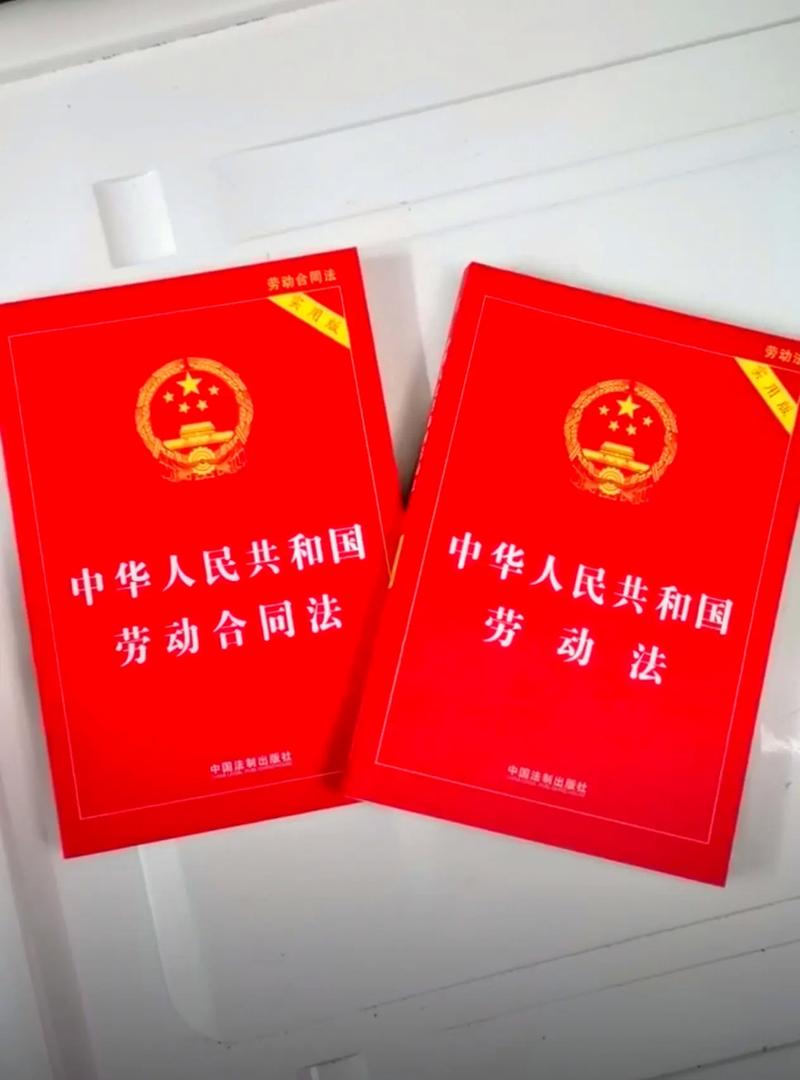 劳动法劳动合同法法律书籍特写