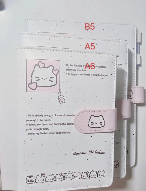 手账A5和A6尺寸本子对比，放在手掌中展示大小
