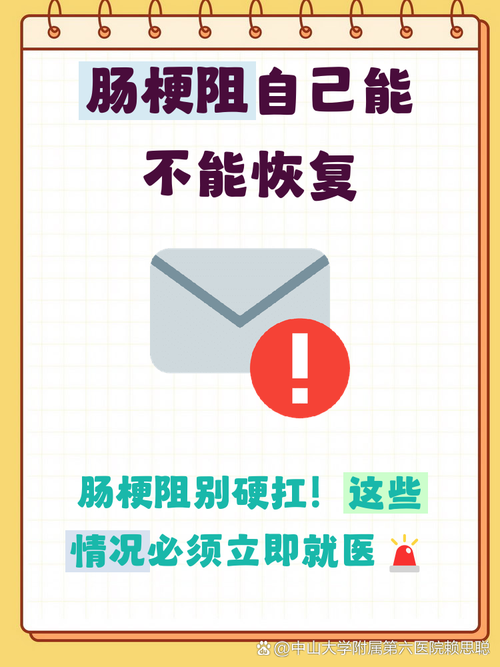 敲黑板:这些情况包扎后必须立刻送医