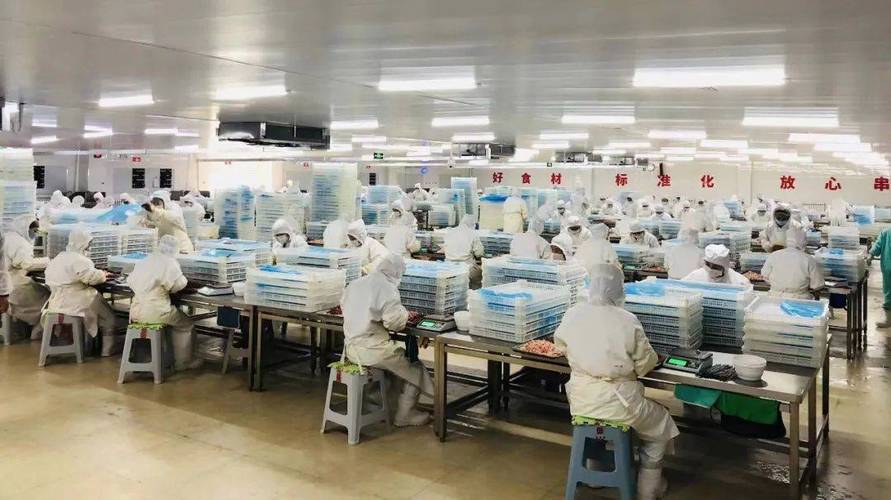 连锁烧烤品牌中央工厂穿串分拣车间