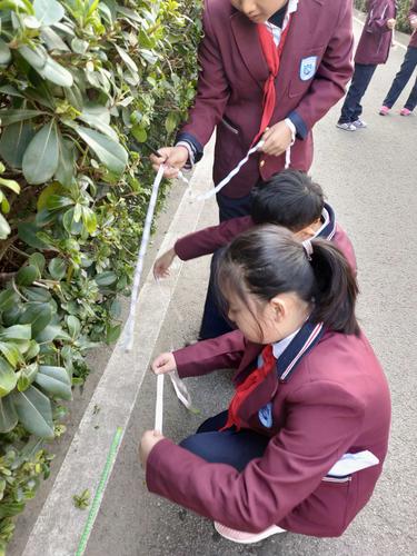 小朋友在小区绿地数步数测量面积