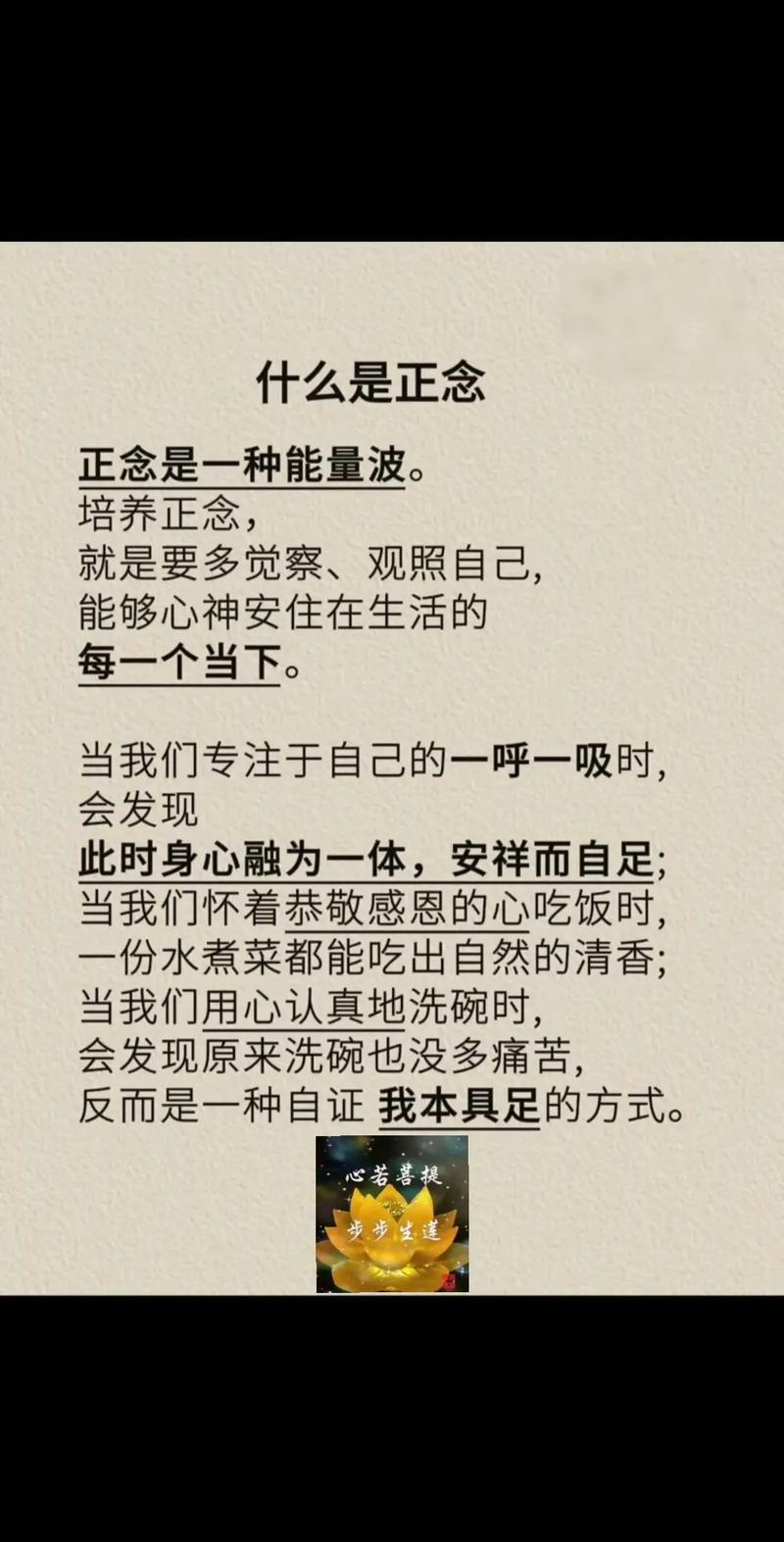 把正念种进每天的碎片里