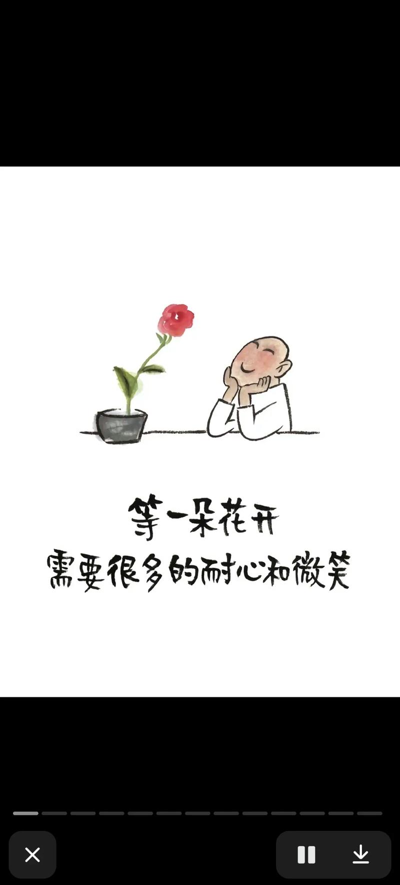 等一等,花就开了