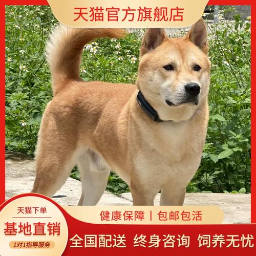 山不赶,谁也不用赶