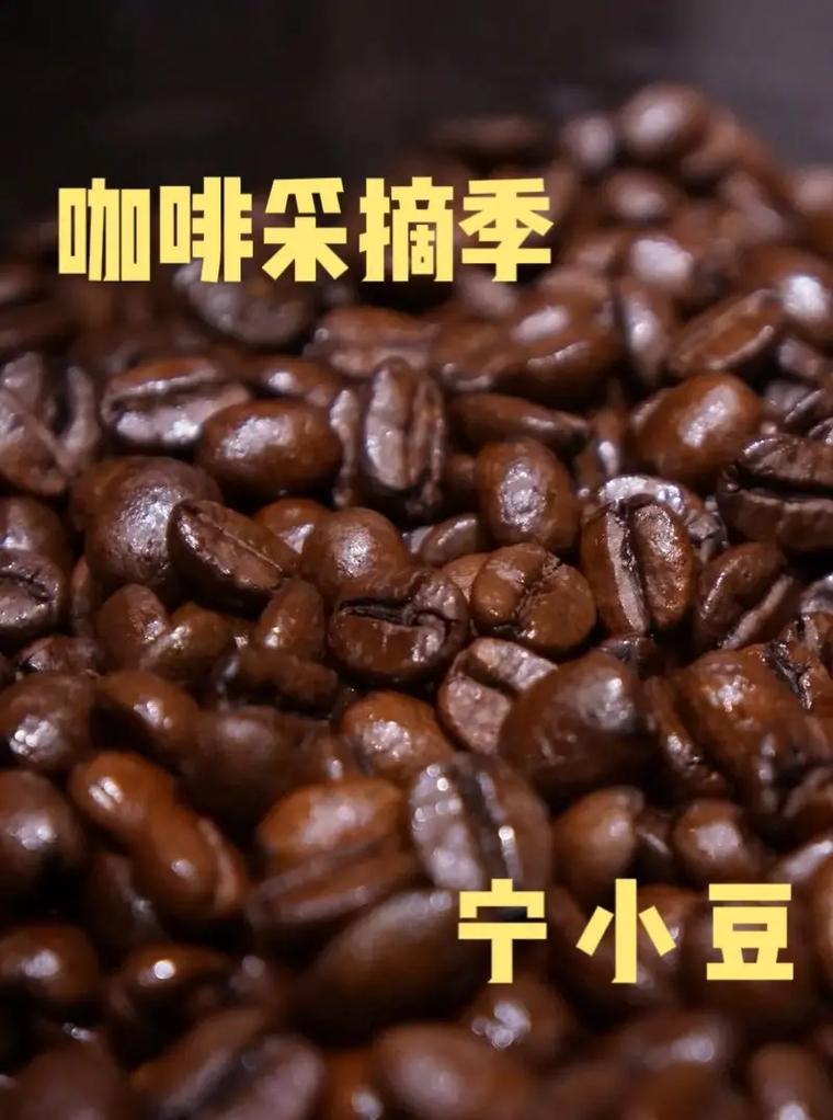 咖啡熟豆与生豆对比图