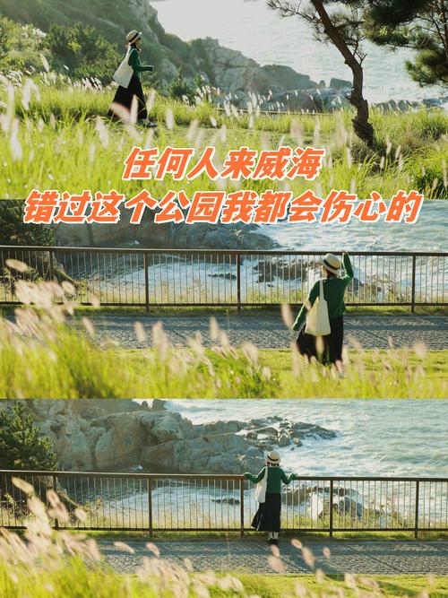 留半天时间给岸边的风