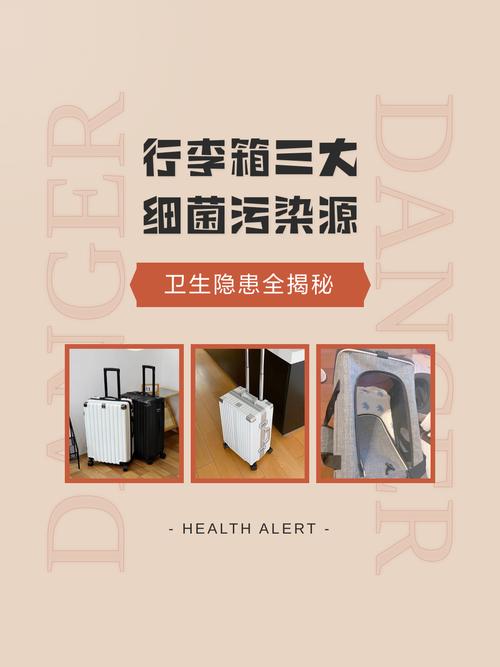 出行行李箱细菌污染检测示意图