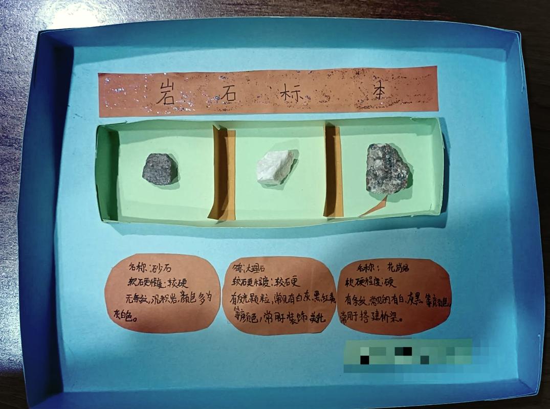 幼儿园自然课岩石分类标本展示桌
