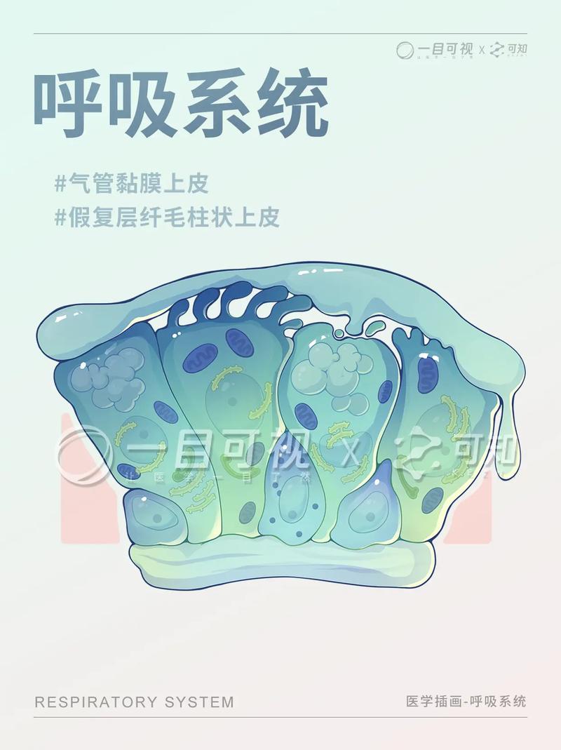 哮喘患者的换季气道防护：老大夫唠的实在话-仁者医