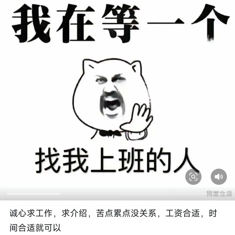 你是在找工作,还是在找“感觉”?