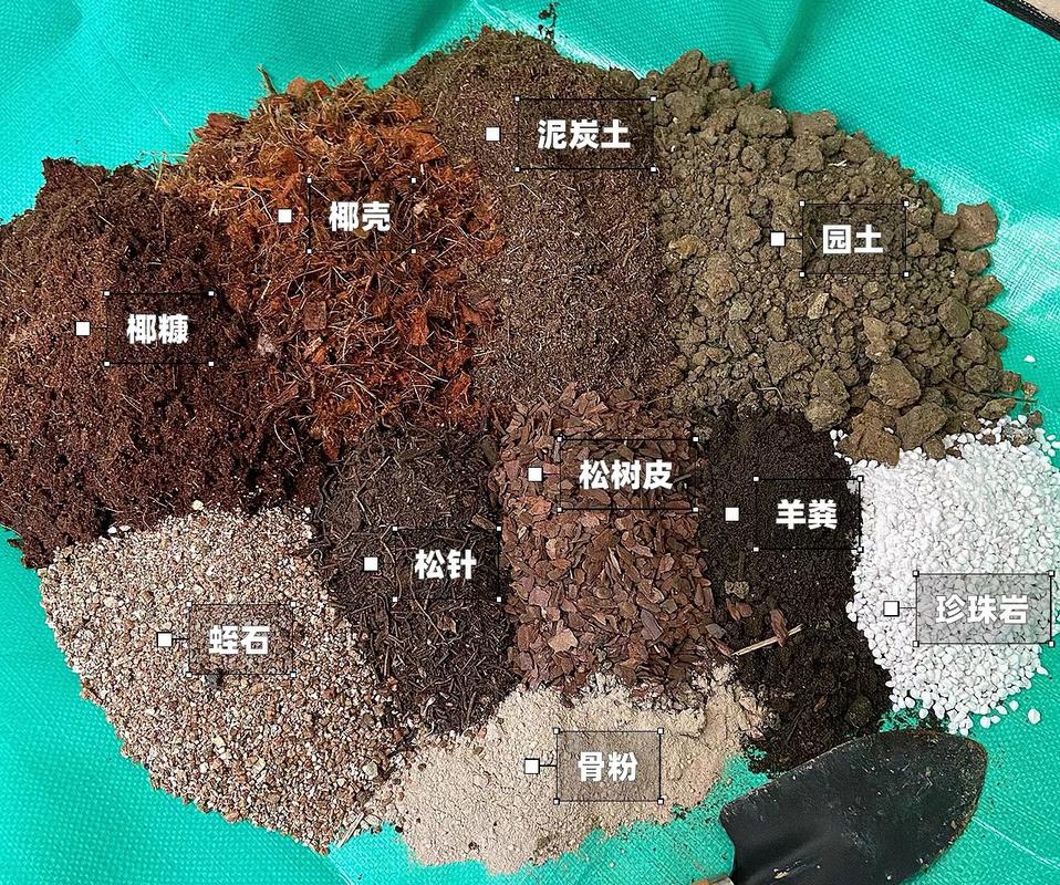 怎么选?我的几个土办法