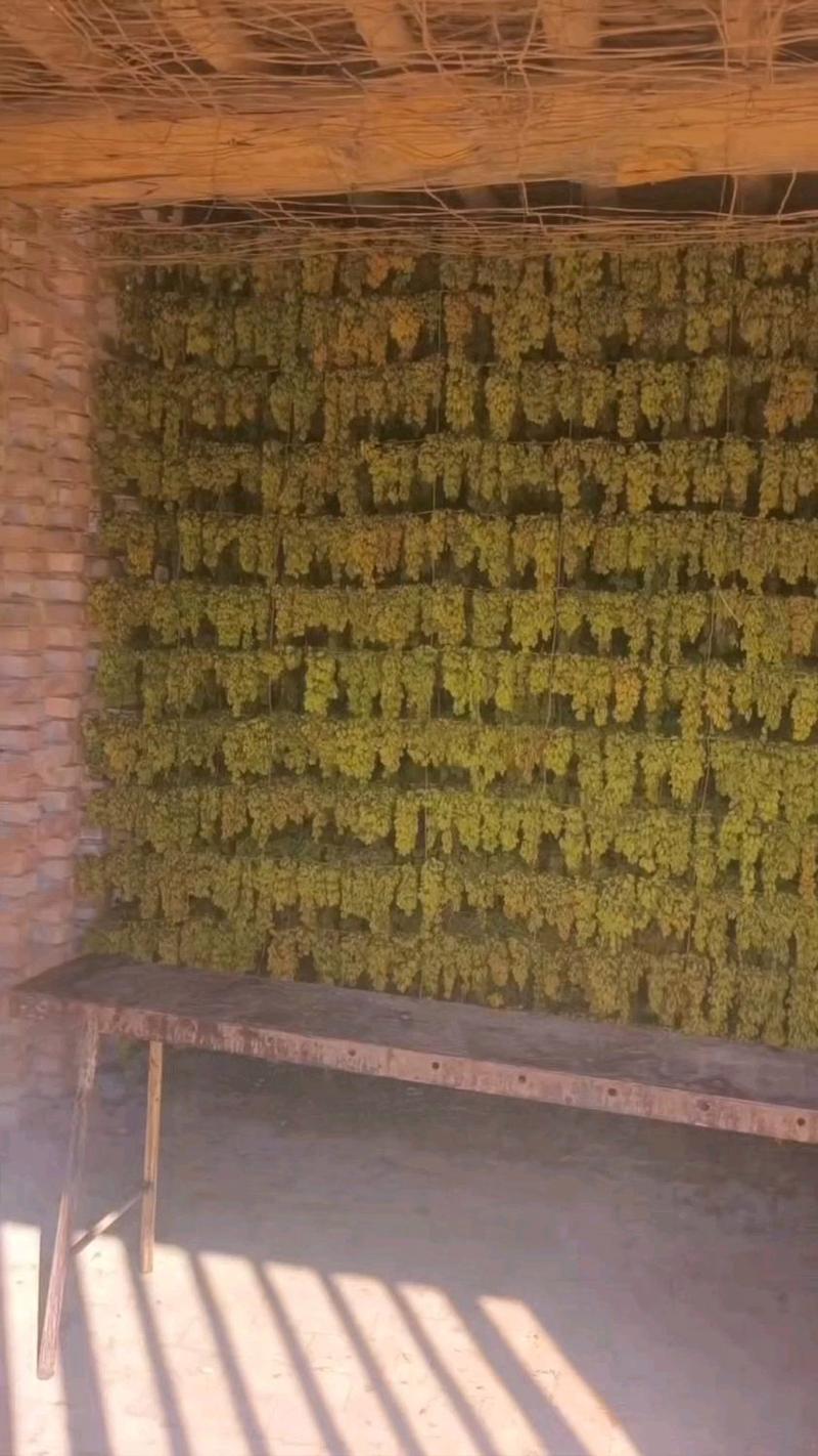 吐鲁番阴房葡萄干阴干蒸发过程示意图