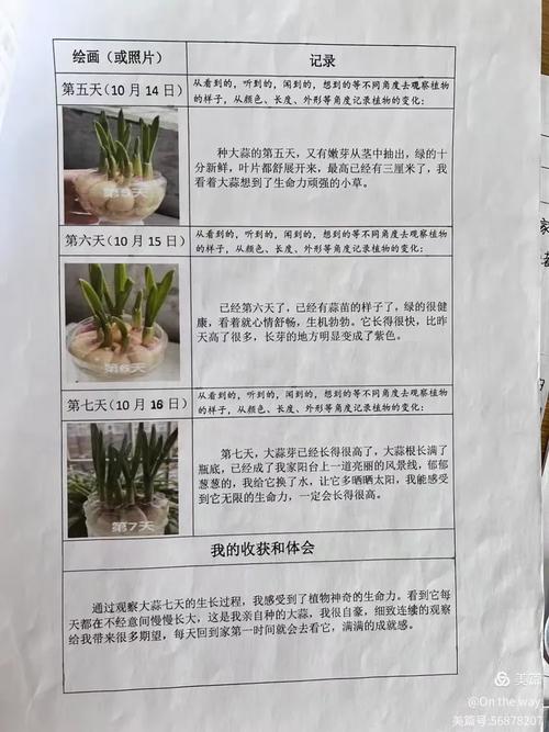 你自己在家就能对照的观察要点