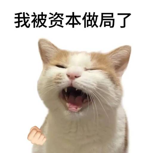 历年留传下来的经典网络热梗表情包合集