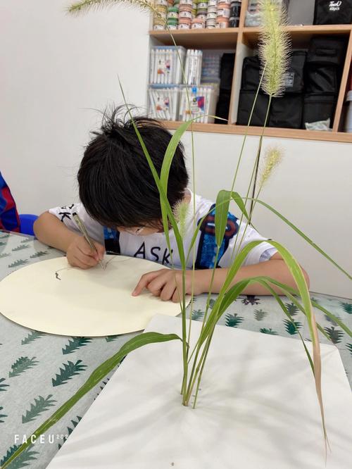 儿童户外草地上写生狗尾巴草场景