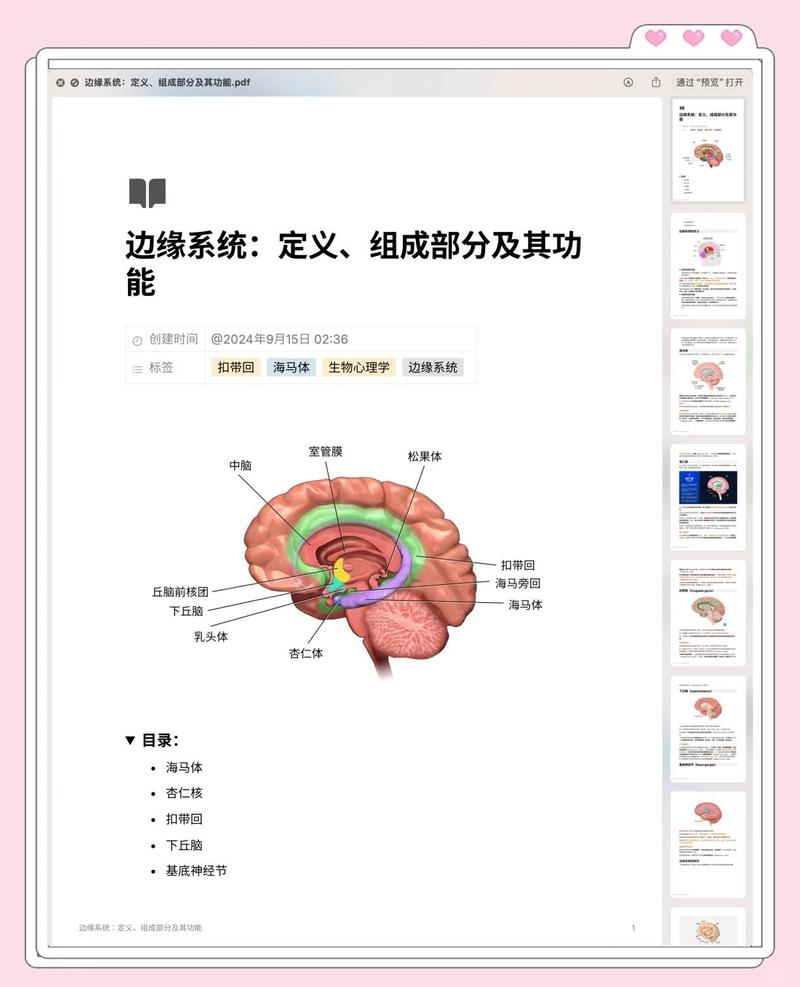 四、站在边缘时,脑子里在发生什么