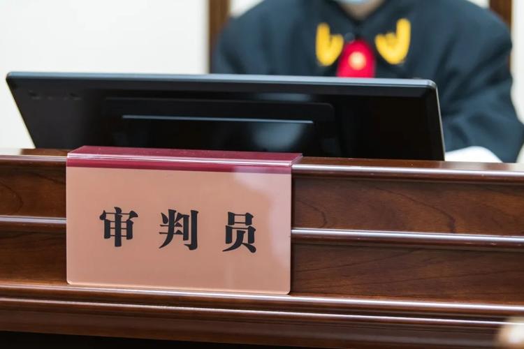 中国撤销监护权终审判决驳回率统计图表