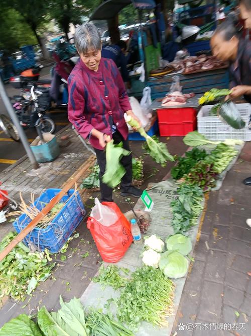 菜市场大妈挑菜实拍场景
