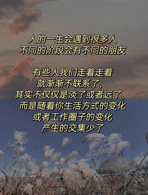 连接：与陌生人的短暂共鸣