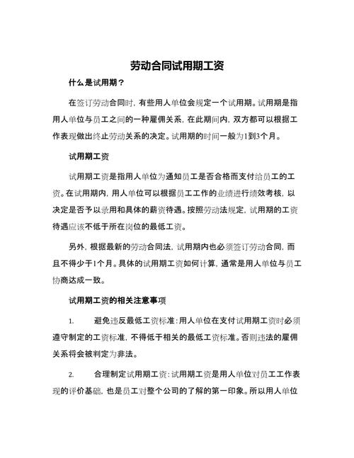 劳动合同试用期工资条款细节