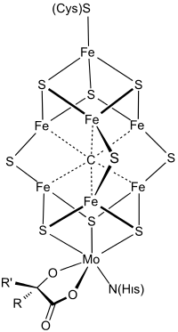 量子模拟固氮酶分子结构原理示意图