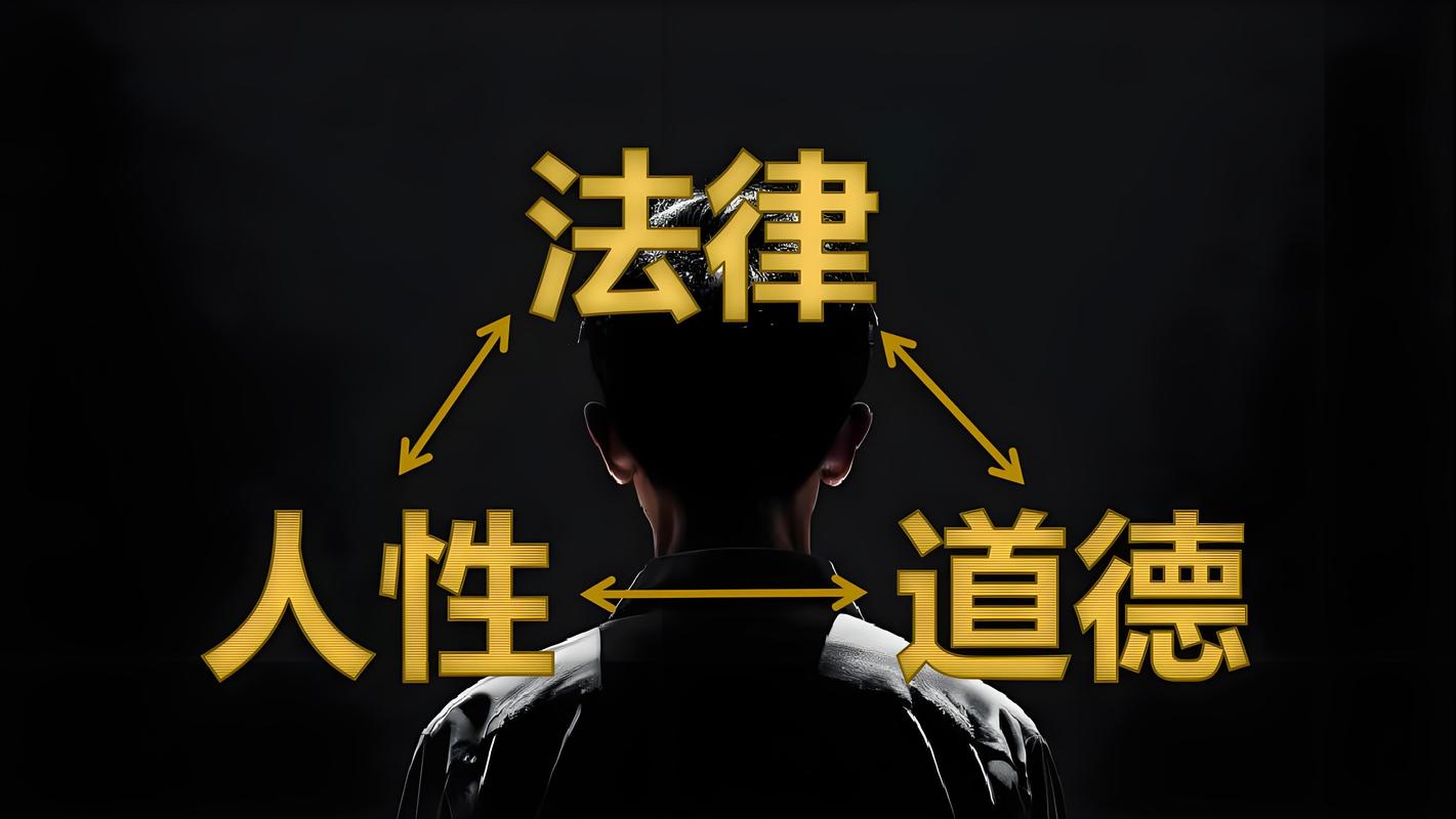法律边界的清晰画像