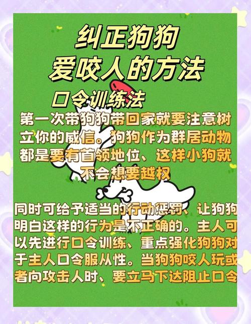 真碰到要咬人的狗，你得这么做